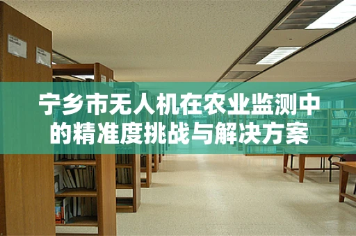 宁乡市无人机在农业监测中的精准度挑战与解决方案