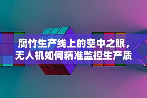 腐竹生产线上的空中之眼，无人机如何精准监控生产质量？