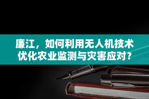 廉江，如何利用无人机技术优化农业监测与灾害应对？