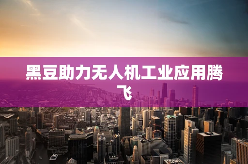 黑豆助力无人机工业应用腾飞
