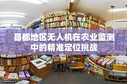 昌都地区无人机在农业监测中的精准定位挑战