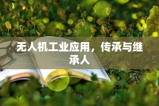 无人机工业应用，传承与继承人