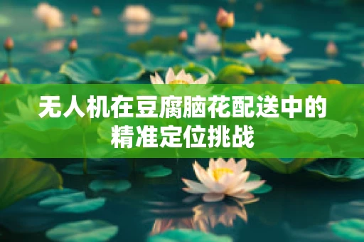 无人机在豆腐脑花配送中的精准定位挑战