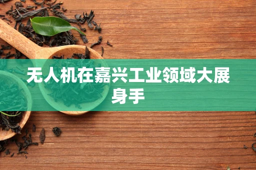 无人机在嘉兴工业领域大展身手