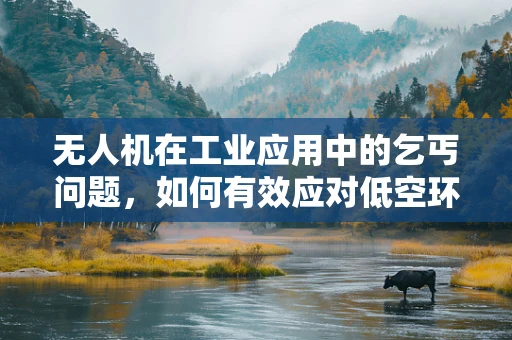 无人机在工业应用中的乞丐问题，如何有效应对低空环境下的信号干扰？