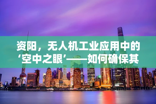资阳，无人机工业应用中的‘空中之眼’——如何确保其高效、安全地服务于城市发展？