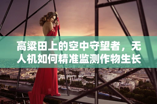 高粱田上的空中守望者，无人机如何精准监测作物生长？