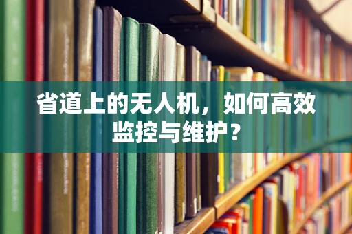 省道上的无人机，如何高效监控与维护？