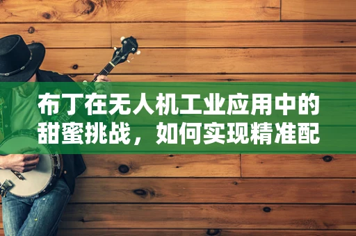 布丁在无人机工业应用中的甜蜜挑战，如何实现精准配送？
