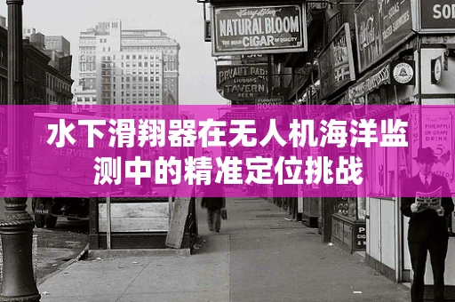 水下滑翔器在无人机海洋监测中的精准定位挑战
