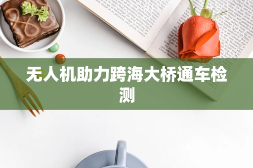 无人机助力跨海大桥通车检测
