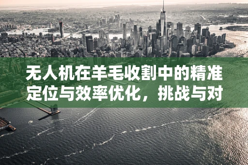 无人机在羊毛收割中的精准定位与效率优化，挑战与对策