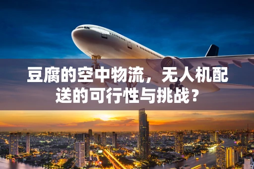 豆腐的空中物流，无人机配送的可行性与挑战？