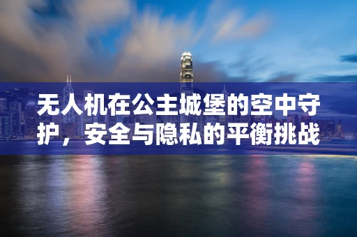 无人机在公主城堡的空中守护，安全与隐私的平衡挑战