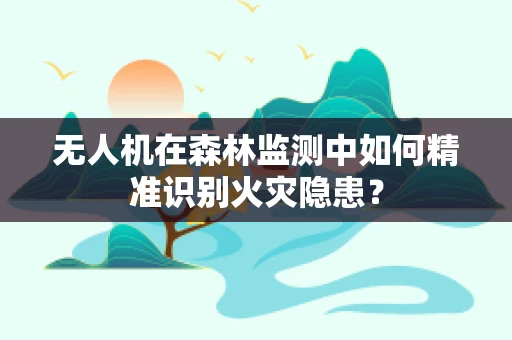 无人机在森林监测中如何精准识别火灾隐患？