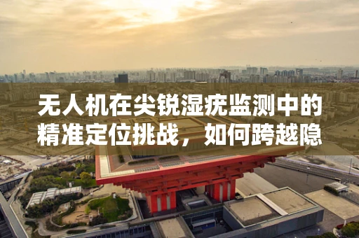 无人机在尖锐湿疣监测中的精准定位挑战，如何跨越隐私与效率的边界？