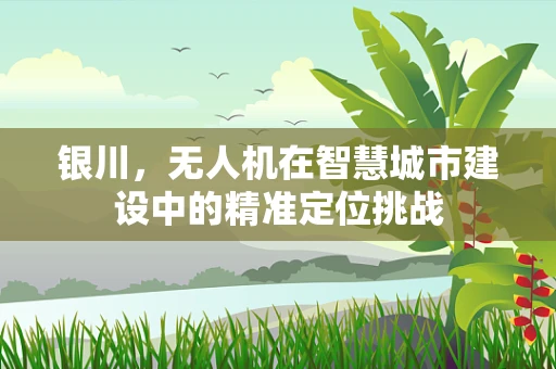 银川，无人机在智慧城市建设中的精准定位挑战