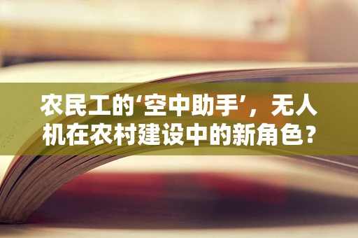 农民工的‘空中助手’，无人机在农村建设中的新角色？