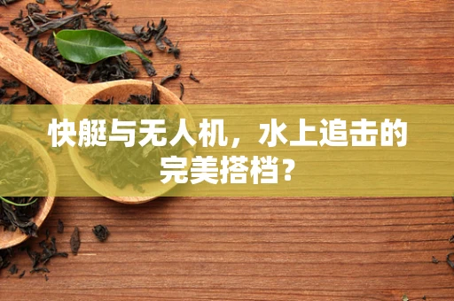 快艇与无人机，水上追击的完美搭档？
