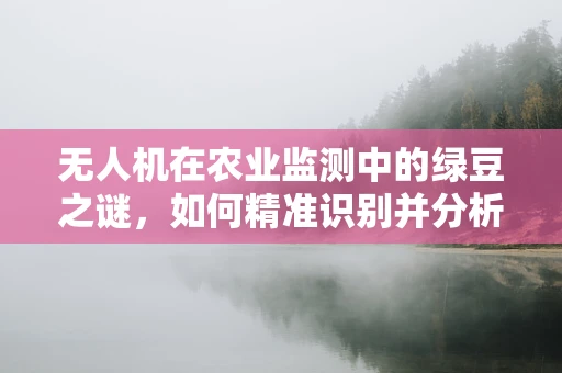 无人机在农业监测中的绿豆之谜，如何精准识别并分析作物健康？