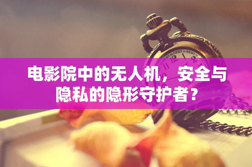 电影院中的无人机，安全与隐私的隐形守护者？