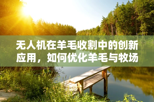 无人机在羊毛收割中的创新应用，如何优化羊毛与牧场的精准采集？
