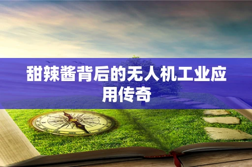 甜辣酱背后的无人机工业应用传奇