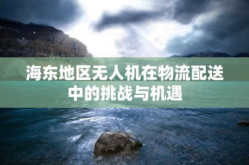 海东地区无人机在物流配送中的挑战与机遇