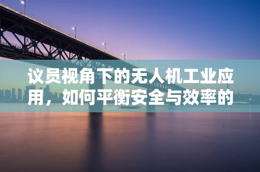 议员视角下的无人机工业应用，如何平衡安全与效率的边界？