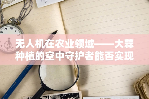 无人机在农业领域——大蒜种植的空中守护者能否实现精准监测？