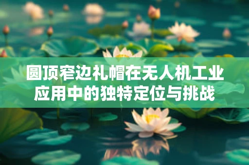 圆顶窄边礼帽在无人机工业应用中的独特定位与挑战