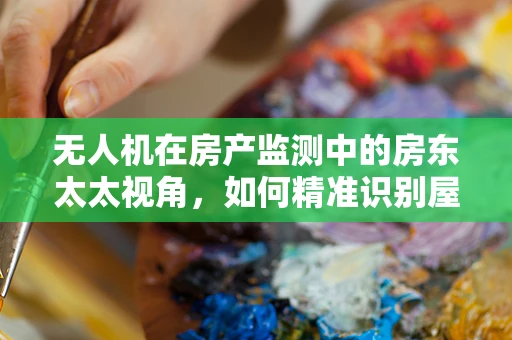 无人机在房产监测中的房东太太视角，如何精准识别屋顶漏水隐患？