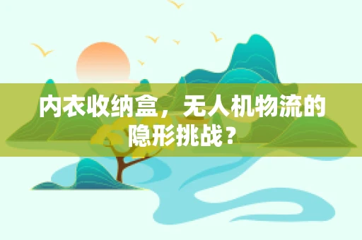 内衣收纳盒，无人机物流的隐形挑战？