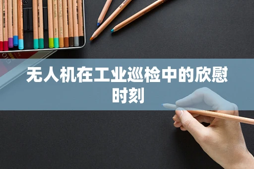 无人机在工业巡检中的欣慰时刻