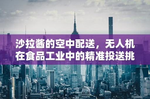 沙拉酱的空中配送，无人机在食品工业中的精准投送挑战