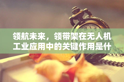 领航未来，领带架在无人机工业应用中的关键作用是什么？