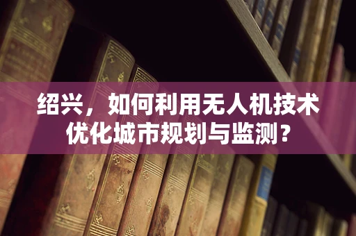 绍兴，如何利用无人机技术优化城市规划与监测？