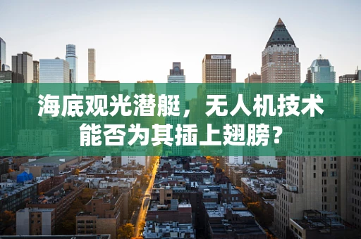 海底观光潜艇，无人机技术能否为其插上翅膀？