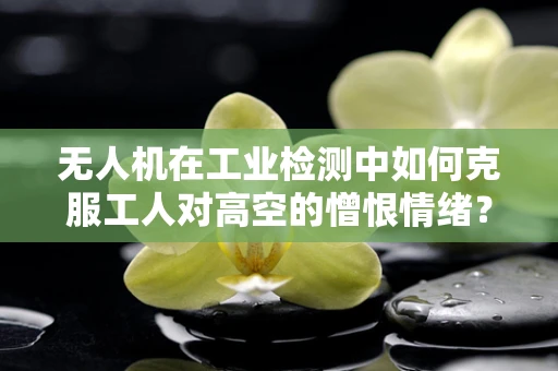 无人机在工业检测中如何克服工人对高空的憎恨情绪？
