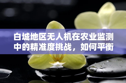 白城地区无人机在农业监测中的精准度挑战，如何平衡高精度与广覆盖？
