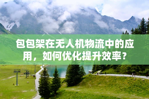 包包架在无人机物流中的应用，如何优化提升效率？