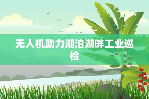 无人机助力湖泊湖畔工业巡检