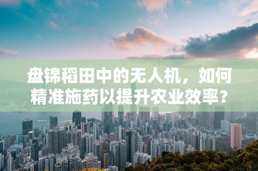 盘锦稻田中的无人机，如何精准施药以提升农业效率？
