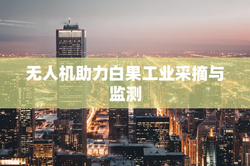 无人机助力白果工业采摘与监测