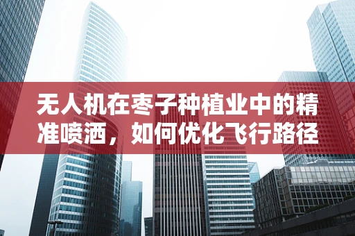无人机在枣子种植业中的精准喷洒，如何优化飞行路径以减少果实损伤？