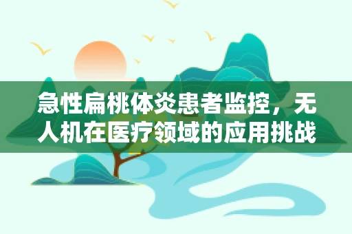 急性扁桃体炎患者监控，无人机在医疗领域的应用挑战何在？