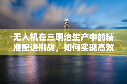 无人机在三明治生产中的精准配送挑战，如何实现高效、无损的食材传输？