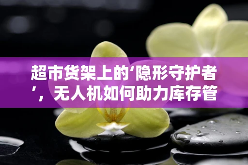 超市货架上的‘隐形守护者’，无人机如何助力库存管理？