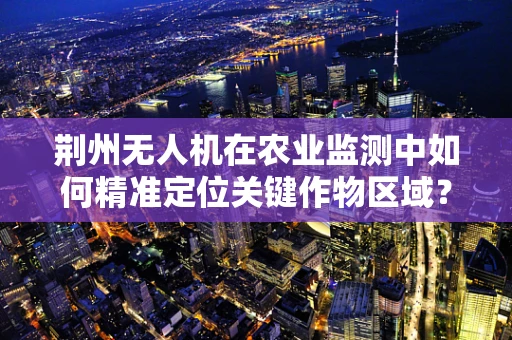荆州无人机在农业监测中如何精准定位关键作物区域？