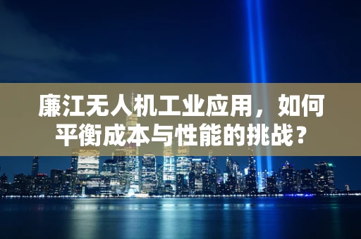 廉江无人机工业应用，如何平衡成本与性能的挑战？
